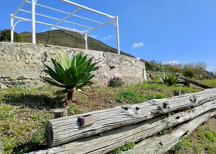 Sciara Sky Experience - Babble Under The Stars